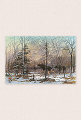 141-21 Семья лосей в зимнем лесу