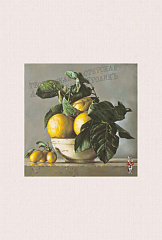 Б 023-17 Лимоны в чашке
