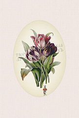 028-18 Тюльпаны