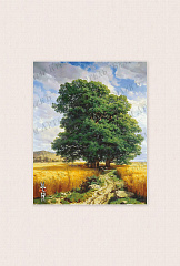 234-24 Дубы колдуны